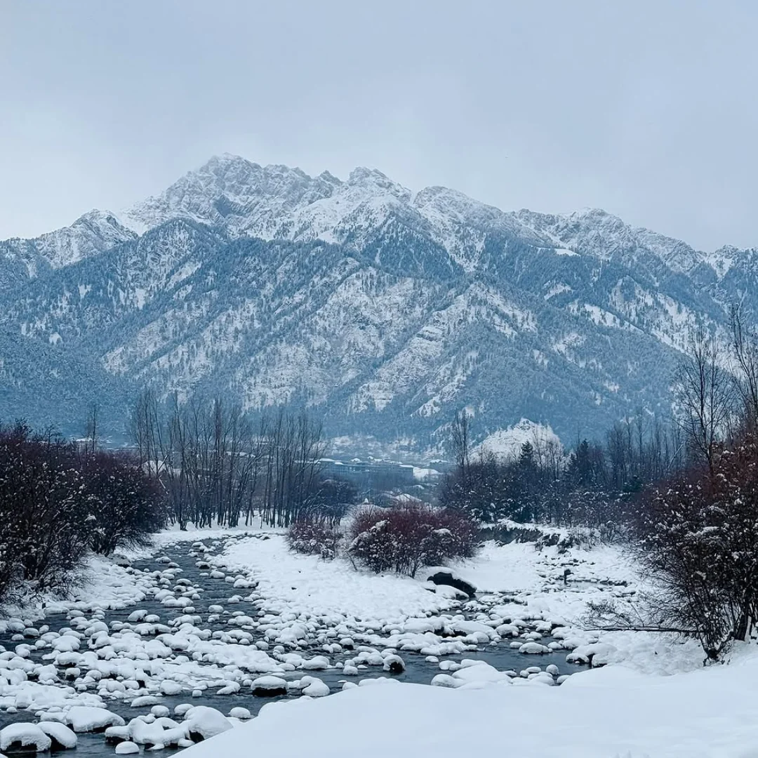 Gulmarg Skiing