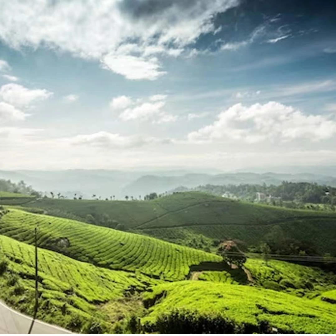 Wayanad Hills