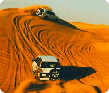 Desert Safari