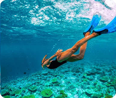 Snorkeling