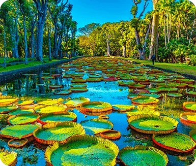 Botanical Garden