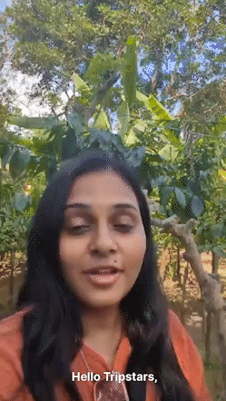 Mrs. Arjal Patel