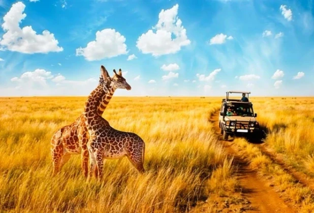 South Africa